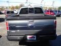 Sterling Grey Metallic - F150 Platinum SuperCrew 4x4 Photo No. 4