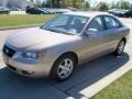 Golden Beige - Sonata GLS Photo No. 3