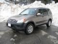 2005 Sahara Sand Metallic Honda CR-V EX 4WD  photo #9