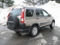 2005 Sahara Sand Metallic Honda CR-V EX 4WD  photo #12