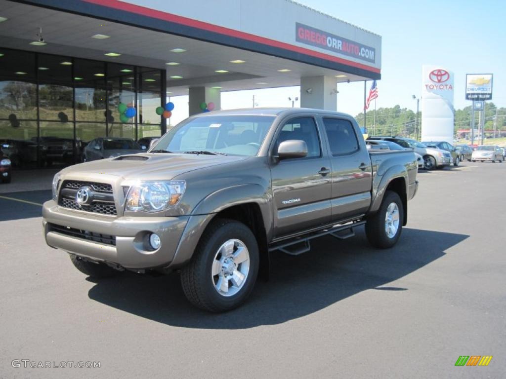 Pyrite Mica Toyota Tacoma