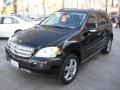 Black - ML 350 4Matic Photo No. 9