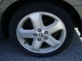 2006 Carbon Bronze Pearl Honda Accord EX-L V6 Sedan  photo #7