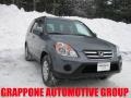 Pewter Pearl - CR-V Special Edition 4WD Photo No. 1