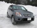 Pewter Pearl - CR-V Special Edition 4WD Photo No. 4