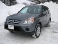 Pewter Pearl - CR-V Special Edition 4WD Photo No. 10