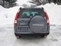 Pewter Pearl - CR-V Special Edition 4WD Photo No. 11