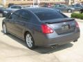 Pebble Beach Metallic - Maxima 3.5 SE Photo No. 3