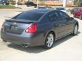 Pebble Beach Metallic - Maxima 3.5 SE Photo No. 5