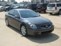 Pebble Beach Metallic - Maxima 3.5 SE Photo No. 7