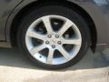 Pebble Beach Metallic - Maxima 3.5 SE Photo No. 23