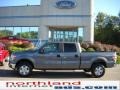 2010 Sterling Grey Metallic Ford F150 XLT SuperCrew 4x4  photo #1