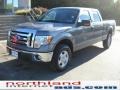 2010 Sterling Grey Metallic Ford F150 XLT SuperCrew 4x4  photo #2