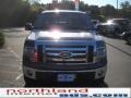 2010 Sterling Grey Metallic Ford F150 XLT SuperCrew 4x4  photo #3