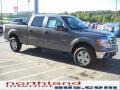 2010 Sterling Grey Metallic Ford F150 XLT SuperCrew 4x4  photo #4