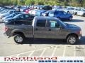 2010 Sterling Grey Metallic Ford F150 XLT SuperCrew 4x4  photo #5