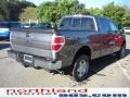 2010 Sterling Grey Metallic Ford F150 XLT SuperCrew 4x4  photo #6