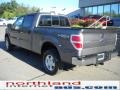 2010 Sterling Grey Metallic Ford F150 XLT SuperCrew 4x4  photo #8