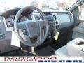 2010 Sterling Grey Metallic Ford F150 XLT SuperCrew 4x4  photo #10