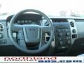 2010 Sterling Grey Metallic Ford F150 XLT SuperCrew 4x4  photo #14