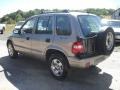 2001 Stone Beige Kia Sportage 4x4  photo #5