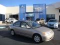 2001 Titanium Metallic Honda Civic EX Sedan  photo #1