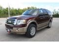 2011 Royal Red Metallic Ford Expedition XLT  photo #8