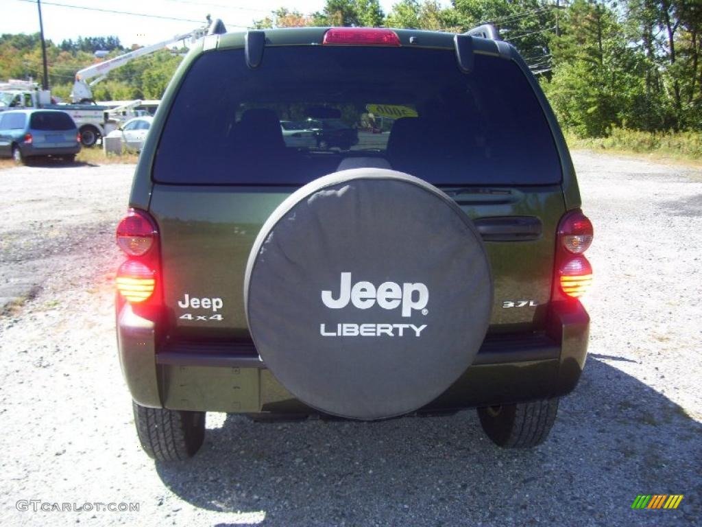 2006 Liberty Sport 4x4 - Jeep Green Metallic / Medium Slate Gray photo #5