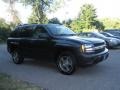 Graphite Metallic - TrailBlazer LS 4x4 Photo No. 3