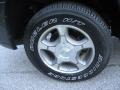 Graphite Metallic - TrailBlazer LS 4x4 Photo No. 9