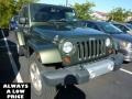 2008 Jeep Green Metallic Jeep Wrangler Sahara 4x4  photo #1