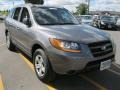 Steel Gray - Santa Fe GLS 4WD Photo No. 14