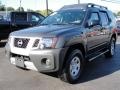 Night Armor Metallic - Xterra X 4x4 Photo No. 3
