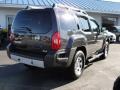 Night Armor Metallic - Xterra X 4x4 Photo No. 4