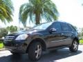 Black - ML 350 4Matic Photo No. 2