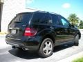 Black - ML 350 4Matic Photo No. 6