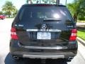 Black - ML 350 4Matic Photo No. 7