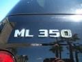Black - ML 350 4Matic Photo No. 9