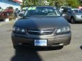 Bronzemist Metallic - Impala  Photo No. 2