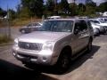 Silver Birch Metallic - Mountaineer Convenience AWD Photo No. 1