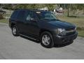 Graphite Metallic - TrailBlazer LS 4x4 Photo No. 1