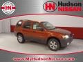 2007 Blazing Copper Metallic Ford Escape XLT V6  photo #1