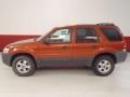 2007 Blazing Copper Metallic Ford Escape XLT V6  photo #7