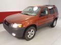 2007 Blazing Copper Metallic Ford Escape XLT V6  photo #8