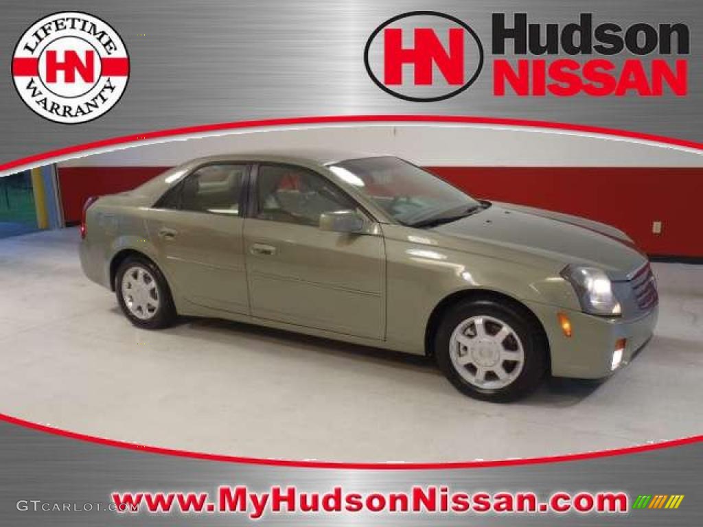 2004 CTS Sedan - Silver Green / Light Neutral photo #1