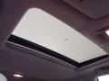 2010 Tungsten Silver Pearl Lexus RX 350  photo #22