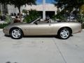 Topaz Metallic - XK XK8 Convertible Photo No. 6
