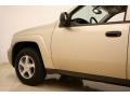 Sandstone Metallic - TrailBlazer LS 4x4 Photo No. 26