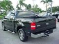 Black - F150 XLT SuperCrew Photo No. 10