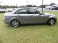 Palladium Silver Metallic - C 300 Luxury Photo No. 13